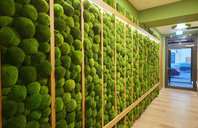 Green Leisure Apartments - Photo 2