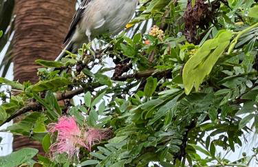 Ritzy Little House - Foto 21