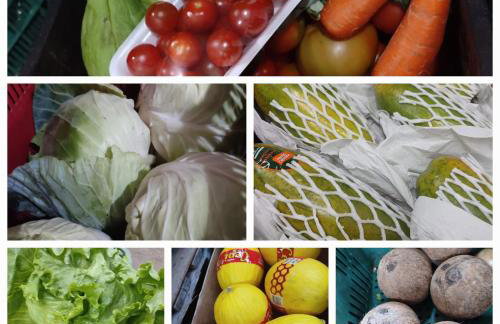 Casa Muller 1880 - Photo 22