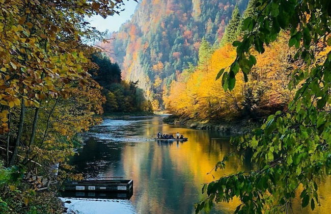 Jaworki Green Dream - Foto 31