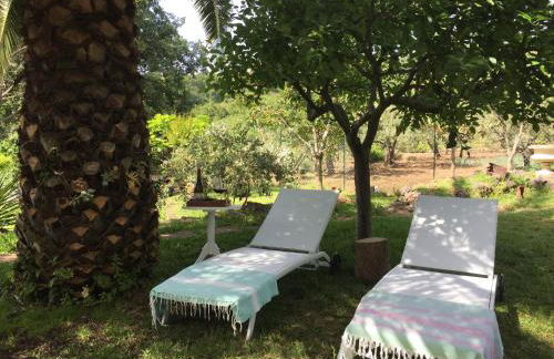 Aprisa apartment - Foto 12