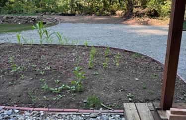 Enchanted Hollow- Cozy, Romantic Woodland Getaway - Photo 33