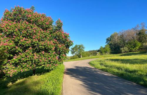 Landhaus-Villa auf dem Berg - Foto 62