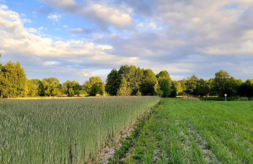 Domek Drewniany - Foto 27