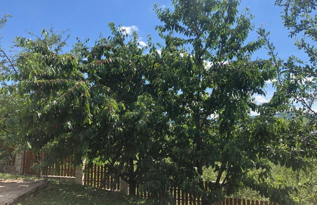 Villa Sarajevo Hills - Foto 28