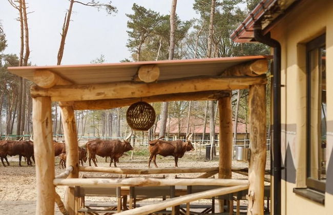 Safari Resort Beekse Bergen - Foto 50