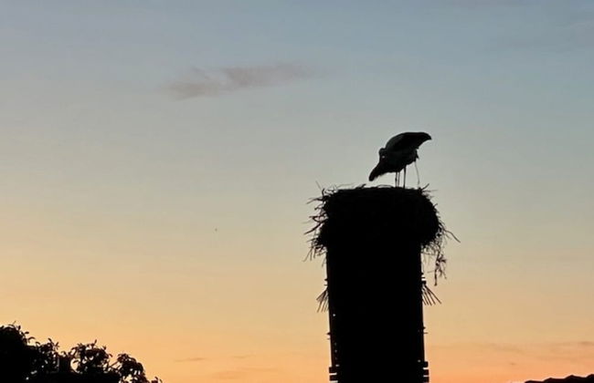 Ferienidyll in Gielow an der Seenplatte - Foto 16