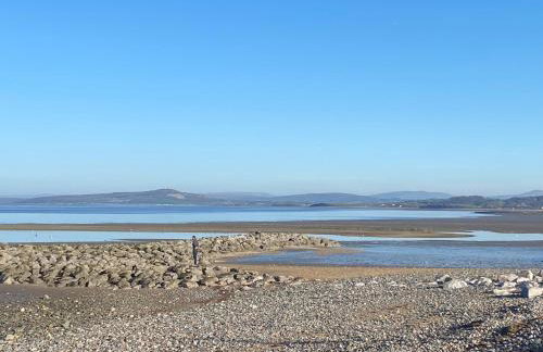 The Cellar on Hornby - Photo 22