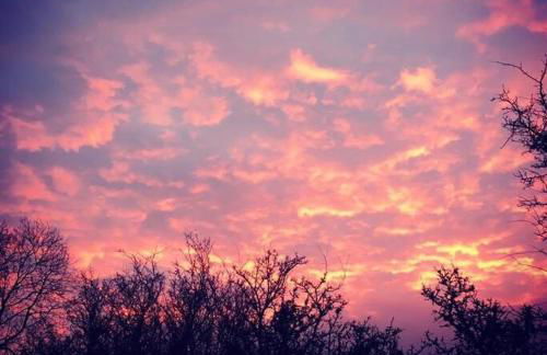 Y Boidy Bach - Photo 54