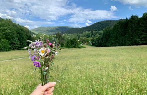 L'Orpin Givré - Chalet Limoselle avec grande mezzanine - Foto 28