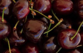 La mia deliziosa Casetta di giù - Foto 53