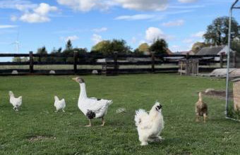 Leśny Zakątek Uroczysko -Apartamenty Nowoczesnej Stodoły - Foto 28