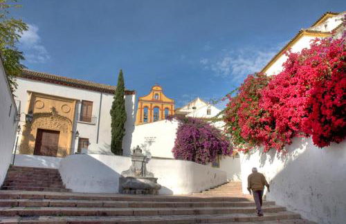 Villa ALJARAL, Espectacular,piscina,chimenea, climatización, wifi - Foto 71
