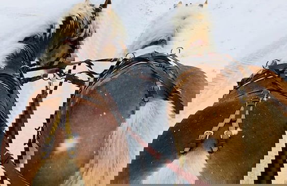 Ranch Marina - Photo 9