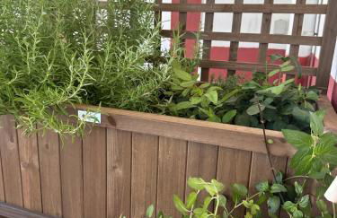 Monte da Tojeirinha - Foto 72