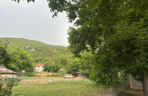 Stymfalia Cozy Village Guesthouse - Foto 27