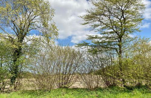 Ferienhaus Spatzenvilla - Foto 19