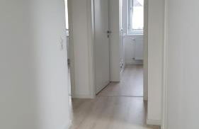 Ferienwohnung 2 - "Ferienhaus Seibert" - Foto 25