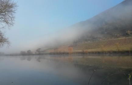 Landhaus Goeres - Foto 7