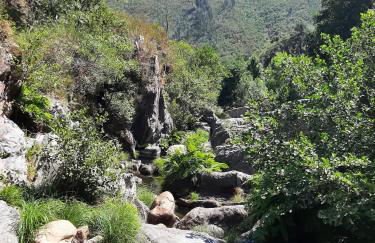 Casa da Travessa do Casal - Photo 94