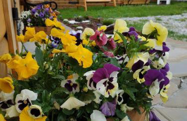 JANICKA CHATA - Foto 34