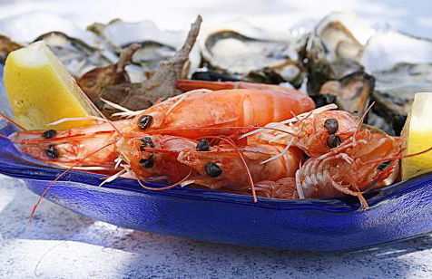 Elbamar Procchio - Foto 20