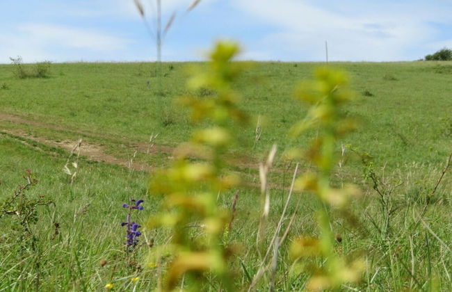 Csilla Comfortable Holiday Residence - Foto 26