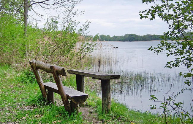 Ferienhaus am Useriner See, Userin - Foto 16