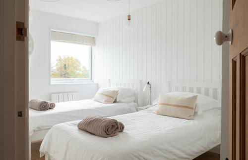 Westward 8 - Foto 14