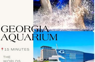 Luxe Suite - Comfort - King Bed and Free Parking - Foto 34