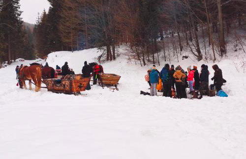 Domek w górach, noclegi w górach , Przystanek Stodoła , nocleg Beskidy , Velo Soła, balia ogrodowa, Rajcza, Rycerka - Foto 38