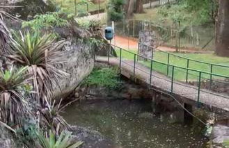 Chalé Banho de Floresta Atibaia Clube de Montanha - Foto 44