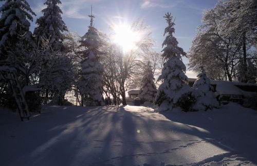 Ferienhaus Harzer Bauernhof - Foto 9