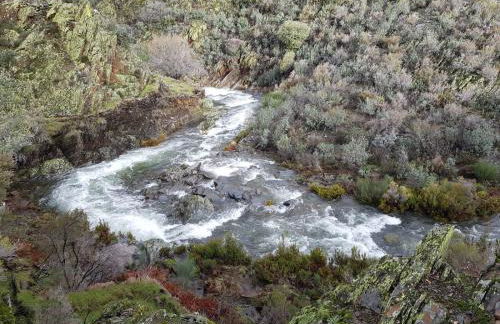 La Chocita de Tio Castor - Foto 32