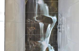 Seepferdchen - Foto 1