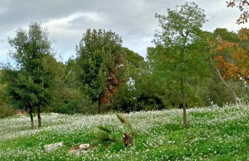 Casa acogedora familiar en la montaña - Foto 60