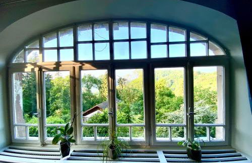 LA VILLA DES OISEAUX - La Petite Pierre - Foto 31