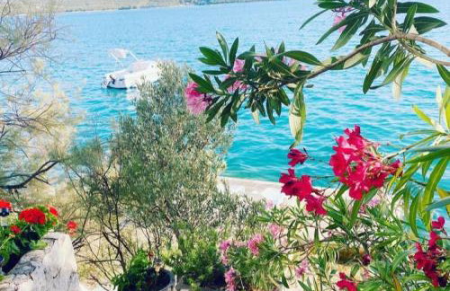 House Paula - Photo 6