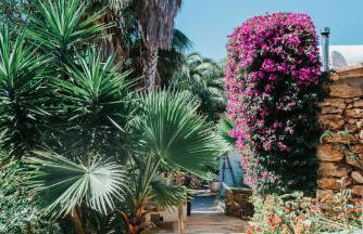 Hotel Can Sastre - Foto 31