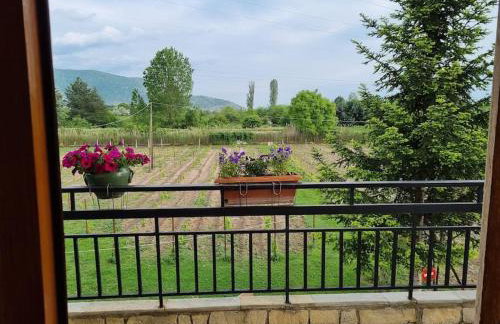 ΚΤΗΜΑ ΜΠΟΡΑΒΟΥ - Foto 33