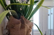 Attico Gabri - Appartamento con terrazzo panoramico vicino al Centro - Foto 17