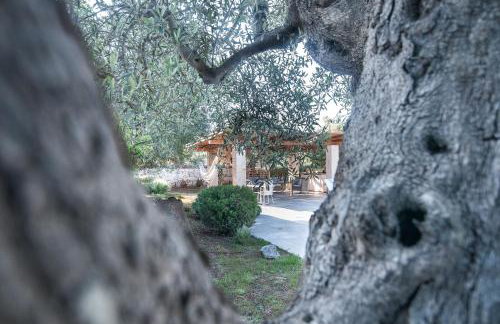 Il Trullo di Ben - with Private Pool in Locorotondo - Perfect for Couples & Quiet Escapes - Dogfriendly - Foto 40
