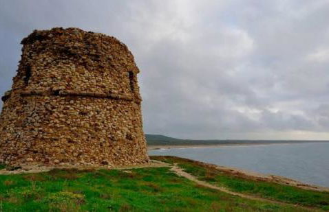 Il Balenottero - Photo 35