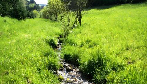 Unterer Gurethshof - Foto 5