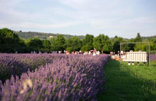 B&B Il Molinello - Foto 60