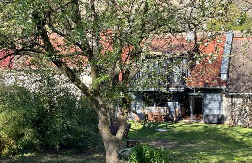 Ferienhof"WaldEsel Rippersroda" - Foto 29