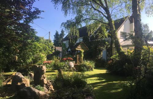 Holdfast Cottage in the heart of The New Forest - Photo 56