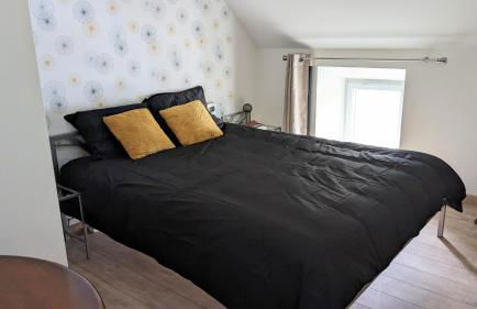 Le Puy de Côme - Foto 18