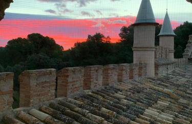 Castillo con piscina en plena Sierra Calderona - Photo 18