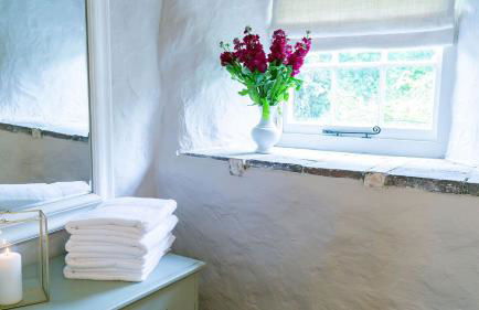 Ty Fry Cottage - Foto 25